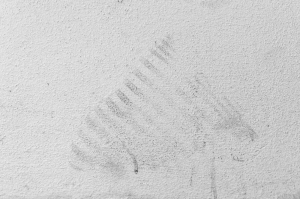 http://www.glorialuca.net/files/gimgs/th-41_InDifferent Space 7_resize.jpg